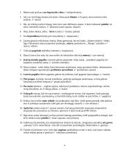 Jaunimo bendravimo internetu problemos 4 puslapis