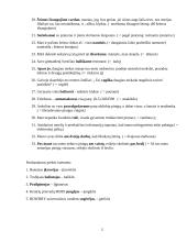 Jaunimo bendravimo internetu problemos 5 puslapis