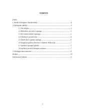 Kačerginės miestelio aplinkos ekologinės būklės įvertinimas 2 puslapis