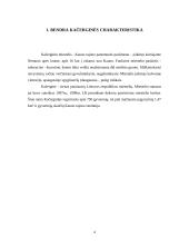 Kačerginės miestelio aplinkos ekologinės būklės įvertinimas 4 puslapis