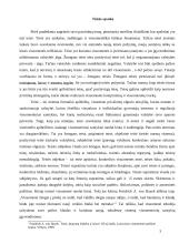 Kaip interesų grupės įtakoja politinių sprendimų priėmimą? 3 puslapis