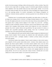 Kaip interesų grupės įtakoja politinių sprendimų priėmimą? 8 puslapis