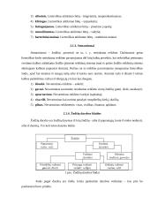 Kalbos klaidos interneto svetainėse 11 puslapis