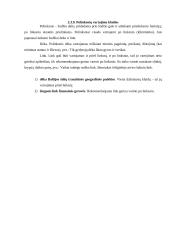 Kalbos klaidos interneto svetainėse 17 puslapis