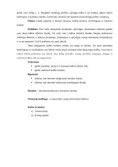 Kalbos klaidos interneto svetainėse 4 puslapis