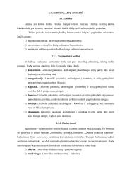 Kalbos klaidos interneto svetainėse 10 puslapis