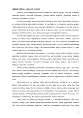 Kalbos kultūros ugdymas ir studijavimas 2 puslapis