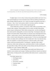 Klaidų taisymas 2 puslapis