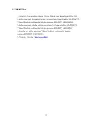 Klaidų taisymas 13 puslapis