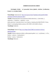 Klaidų taisymas 3 puslapis