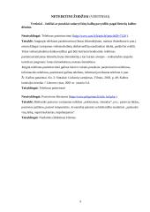 Klaidų taisymas 9 puslapis