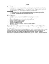 Vadybos pagrindų karjeros planavimas 2 puslapis