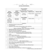 Vadybos pagrindų karjeros planavimas 8 puslapis