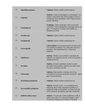 Vadybos pagrindų karjeros planavimas 10 puslapis