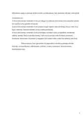 Kauno miesto socialinių paslaugų centrai 5 puslapis