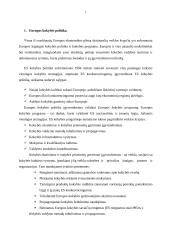 Europos kokybės politika ir ISO standartai 2 puslapis