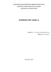 Komercinė veikla