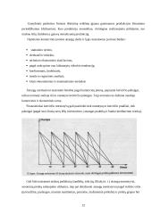 Komercinė veikla 12 puslapis