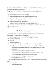 Komercinė veikla 13 puslapis