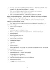 Komercinė veikla 16 puslapis