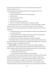 Komercinė veikla 19 puslapis