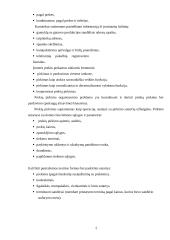 Komercinė veikla 5 puslapis