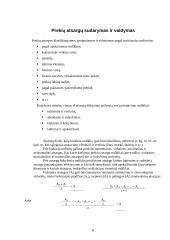 Komercinė veikla 8 puslapis