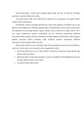 Konferencijos organizavimas bei kas lemia konferencijos sėkmingumą? 11 puslapis