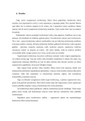 Konferencijos organizavimas bei kas lemia konferencijos sėkmingumą? 12 puslapis