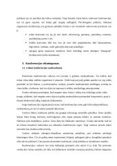 Konferencijos organizavimas bei kas lemia konferencijos sėkmingumą? 8 puslapis