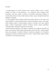 Konkurencinę aplinką sąlygojantys veiksniai tarptautiniame versle 13 puslapis