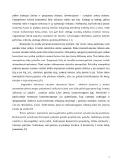 Konkurencinę aplinką sąlygojantys veiksniai tarptautiniame versle 5 puslapis