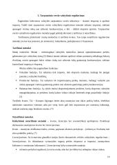 Konkurencinę aplinką sąlygojantys veiksniai tarptautiniame versle 10 puslapis