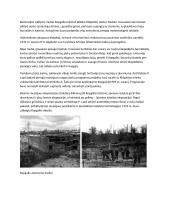 Kopgalis ir jo atstatymas 2 puslapis