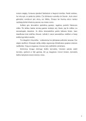 Laisvalaikio praleidimo galimybės Ukmergės mieste 3 puslapis