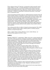 Latvijos ekonominė analizė 2 puslapis