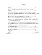 Lietuvos ir Airijos ekonominis palyginimas 2 puslapis