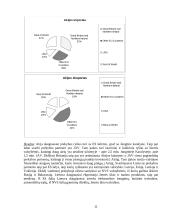 Lietuvos ir Airijos ekonominis palyginimas 10 puslapis