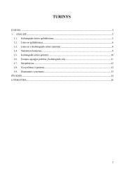 Lietuvos ir Rusijos Kaliningrado srities tarpusavio prekybos raida ir perspektyvos 2 puslapis