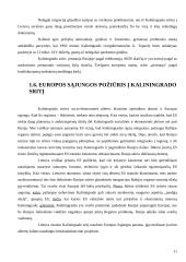 Lietuvos ir Rusijos Kaliningrado srities tarpusavio prekybos raida ir perspektyvos 11 puslapis