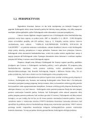 Lietuvos ir Rusijos Kaliningrado srities tarpusavio prekybos raida ir perspektyvos 12 puslapis