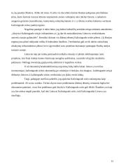 Lietuvos ir Rusijos Kaliningrado srities tarpusavio prekybos raida ir perspektyvos 15 puslapis