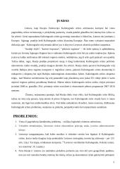 Lietuvos ir Rusijos Kaliningrado srities tarpusavio prekybos raida ir perspektyvos 3 puslapis