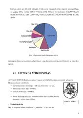Lietuvos ir Rusijos Kaliningrado srities tarpusavio prekybos raida ir perspektyvos 6 puslapis