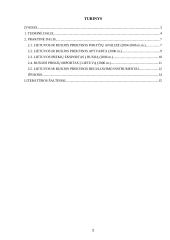 Lietuvos ir Rusijos prekyba 2 puslapis