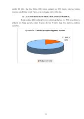 Lietuvos ir Rusijos prekyba 9 puslapis