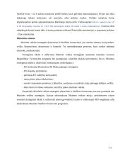 Lietuvos muitų sistemos pertvarkymas šaliai įstojus į Europos Sąjungą (ES) 13 puslapis