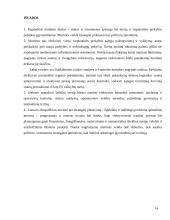 Lietuvos muitų sistemos pertvarkymas šaliai įstojus į Europos Sąjungą (ES) 14 puslapis