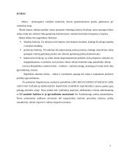 Lietuvos muitų sistemos pertvarkymas šaliai įstojus į Europos Sąjungą (ES) 3 puslapis