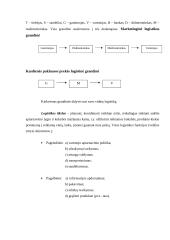 Prekybos logistikos elementai 4 puslapis